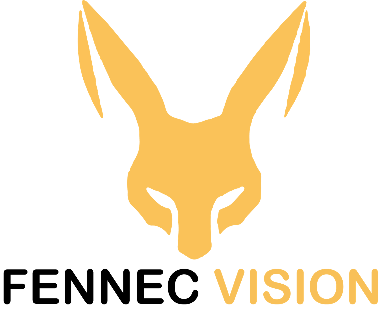 FENNEC VISION
